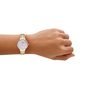 Relógio Skagen Anita Lille feminino Análogo Aço