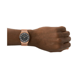 Relógio Skagen Grenen Solar Powered feminino Solar Aço