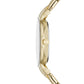 Relógio Skagen Anita Lille feminino Análogo Aço